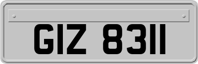 GIZ8311