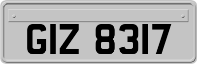 GIZ8317