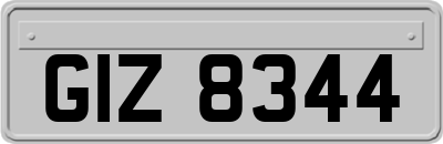 GIZ8344