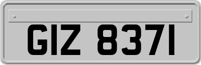 GIZ8371