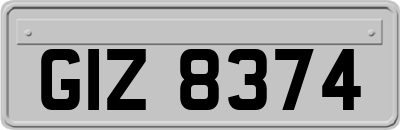 GIZ8374