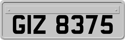 GIZ8375