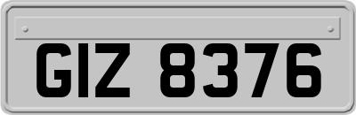 GIZ8376