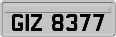 GIZ8377