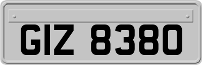 GIZ8380