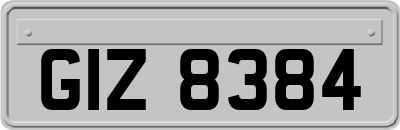 GIZ8384