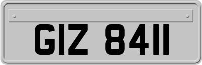 GIZ8411