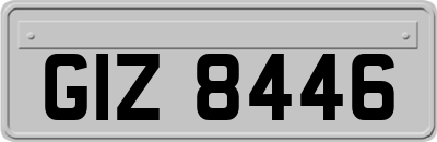 GIZ8446