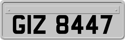GIZ8447