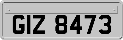 GIZ8473