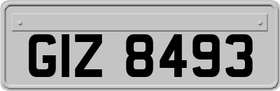 GIZ8493