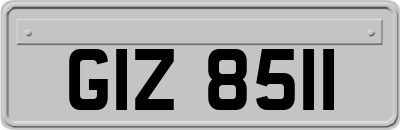 GIZ8511