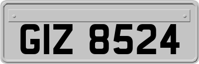 GIZ8524