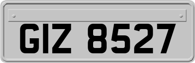 GIZ8527