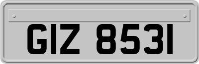 GIZ8531