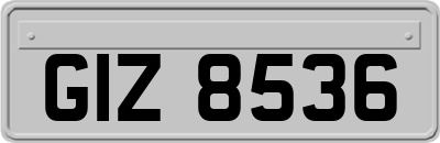 GIZ8536