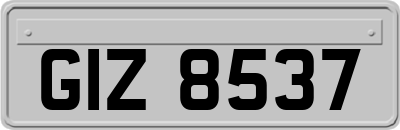 GIZ8537