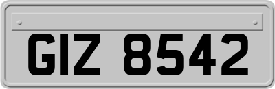 GIZ8542