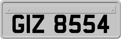GIZ8554