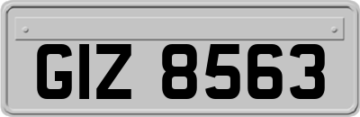 GIZ8563
