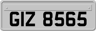 GIZ8565