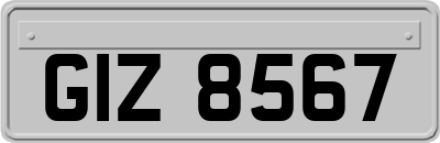 GIZ8567