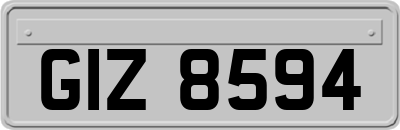GIZ8594