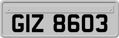 GIZ8603