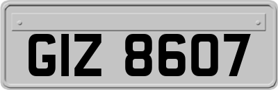 GIZ8607