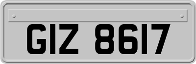 GIZ8617