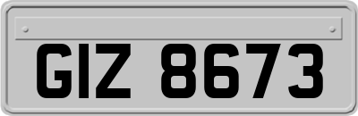 GIZ8673