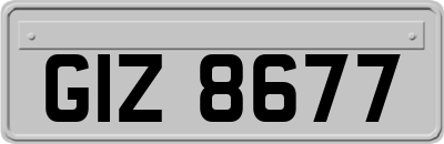 GIZ8677