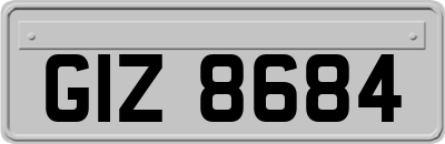 GIZ8684