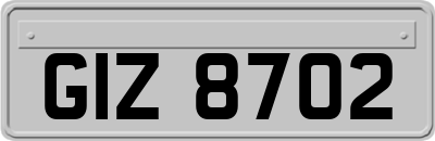 GIZ8702