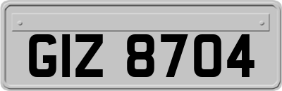 GIZ8704