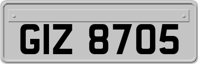 GIZ8705