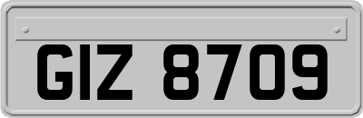 GIZ8709