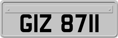 GIZ8711