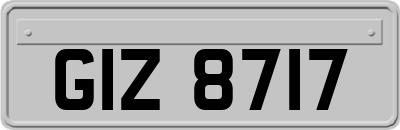 GIZ8717