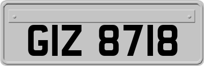 GIZ8718