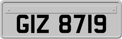 GIZ8719