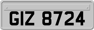 GIZ8724