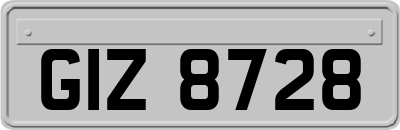 GIZ8728
