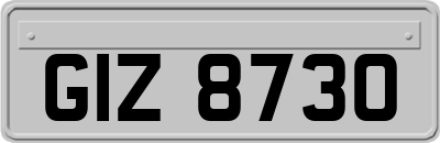 GIZ8730