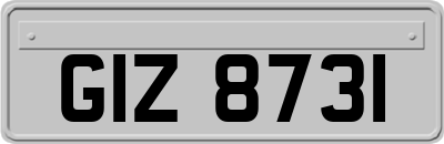 GIZ8731