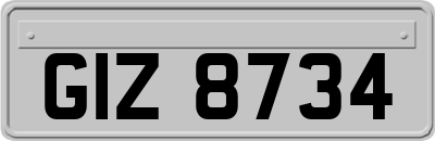 GIZ8734