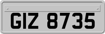 GIZ8735