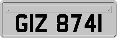GIZ8741