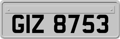 GIZ8753