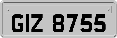 GIZ8755